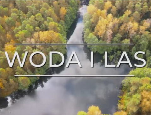 Link do filmu WODA I LAS