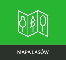 LINK DO MAPY LASÓW