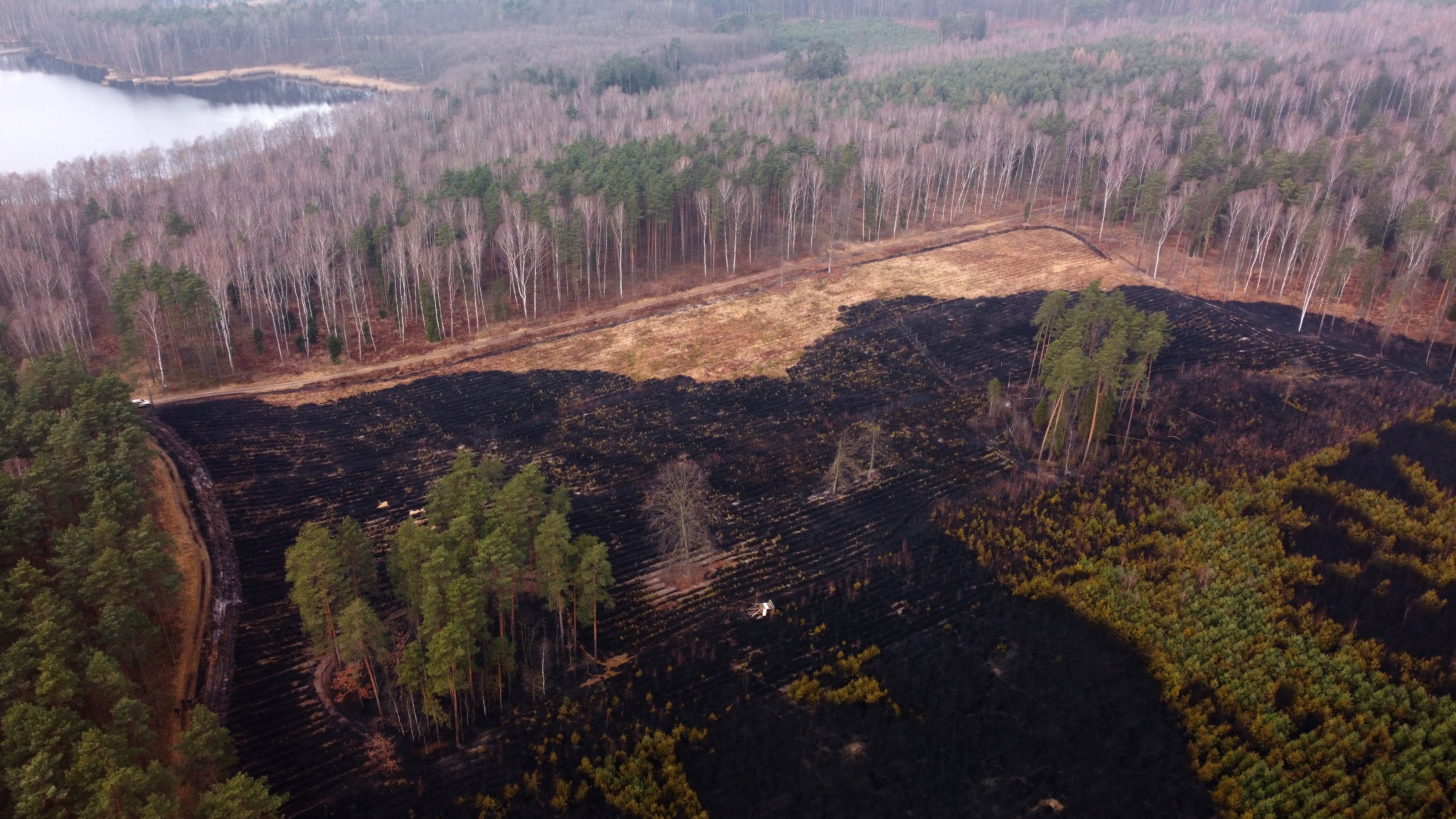 Pożar w okolicach Mętkowa (N-ctwo Chrzanów, 28.03.2022)