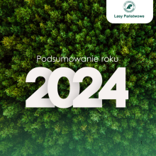 Dziś mija rok od nowego otwarcia w Lasach Państwowych. Leśnicy podsumowują go jako rok wytężonej pracy na rzecz ochrony przyrody, adaptacji lasów do zmian klimatu, wprowadzania modyfikacji w gospodarce leśnej oraz trudnego dialogu społecznego.