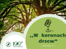 #2 Podcast "W koronach drzew"